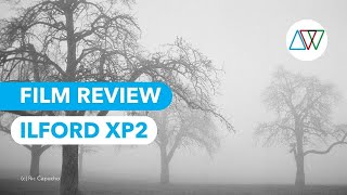 Ilford XP2 Review  quotThe Colour BampW Filmquot [upl. by Arissa192]