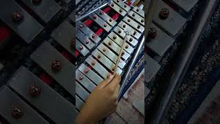 Xylophone sounds sounds xylophone instrumental short [upl. by Janie173]