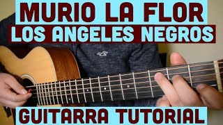 Murio La Flor  Tutorial de Guitarra  Los Angeles Negros  Para Principiantes [upl. by Oiliruam]