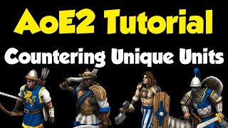 Beginners guide to countering every Unique Unit AoE2 [upl. by Sayles]