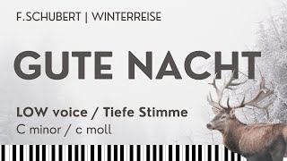 GUTE NACHT Schubert Winterreise Nr 1 Opus 89 Low Voice Piano Accompaniment [upl. by Savina]