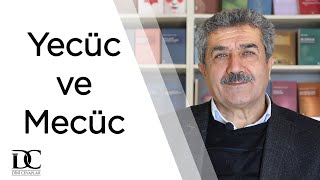 Yecüc ve Mecüc kimdir Türkler olabilir mi  Tuncer Namlı [upl. by Haibot]