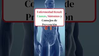 🩸 Enfermedad Renal Causas Síntomas y Consejos de Prevención shortsvideo [upl. by Arawaj683]