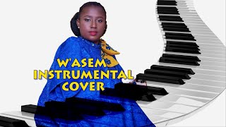 Diana Hamilton Wasem  Instrumental Cover [upl. by Ammadis598]