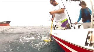 Dorado fishing in Fujairah UAE [upl. by Heise664]