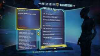 Borderlands 2  Frostburn Canyon Area Challenges [upl. by Olmstead670]