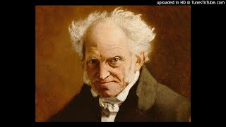 Arthur Schopenhauer quotAforismi e frammentiquot quotParerga e paralipomenaquot [upl. by Nauqe]