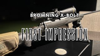 Are Browning Rifles WORTH The [upl. by Dressler164]