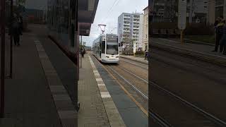 Bombardier NGT6 PSB №304 маршрут 3 Neundorf  Oberer Bahnhof [upl. by Hawley972]