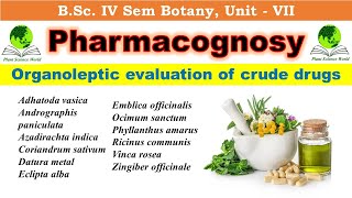 Organoleptic evaluation of crude drugs Pharmacognosy [upl. by Fortune244]