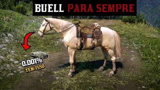 Como Ficar Com o Cavalo Buell Para SEMPRE  RDR2 [upl. by Asertal632]