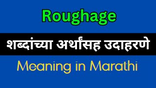 Roughage Meaning In Marathi  Roughage explained in Marathi [upl. by Cumings]