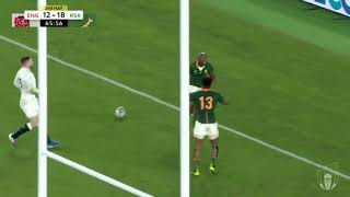 Hier kom die Bokke RWC 2019 [upl. by Yetti18]