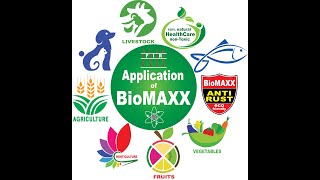 BioMaxx Ball with nano bio Energy technology [upl. by Cheslie]