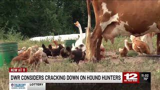 DWR considers cracking down on Hound Hunters [upl. by Engud]