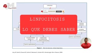 LINFOCITOSIS DIAGNÓSTICO DIFERENCIAL PARTE 1 [upl. by Vatsug]