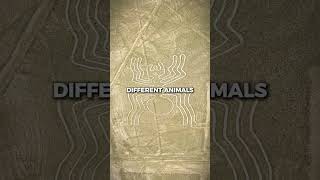 The Mystery of the Nazca Lines [upl. by Ahsinej]