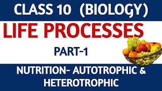 Life Processes  L1  Nutrition  Autotrophic amp Heterotrophic  Class10  Science  Biology [upl. by Carin482]