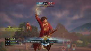 EPIC QUIDDITCH MATCH WITH MUSIC Harry Potter  Quidditch Champions [upl. by Spenser]