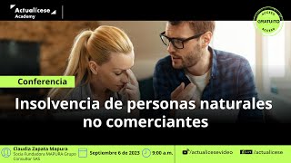 Insolvencia de personas naturales no comerciantes [upl. by Hgieloj134]