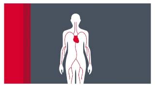 What is atrial fibrillation [upl. by Beach]