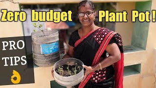 ZERO BUDGET PLANT POT செடி தொட்டி  in தமிழ்  gardening tips [upl. by Cralg116]