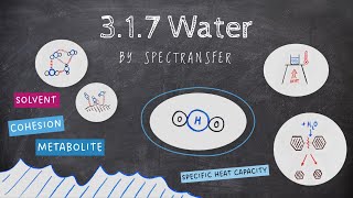 EASY REVISION AQA Alevel Biology 317 Water [upl. by Verdha]