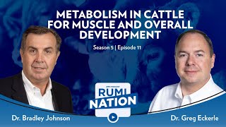 S5E11  Metabolism in Cattle for Muscle and Overall Development with Dr Bradley Johnson [upl. by Notgnilliw]