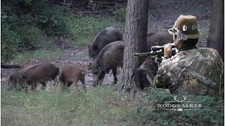 quotOld schoolquot Wildschweinjagd  das MUSS man berücksichtigen  Jagdfilm 2022  ep  33 [upl. by Critta783]