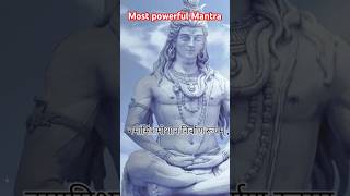 Namami shamishan nirvan roopam   mahadev  powerfulmantra  viralstatus [upl. by Oguh]