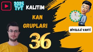 Kan Grupları  TYT Biyoloji Kampı36  yks2025 [upl. by Urial]