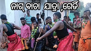 Nag Bacha Jatra Gerdi Jatra 2024 Nag Bacha video ▶️▶️ [upl. by Rede118]