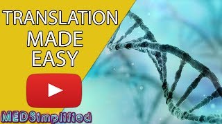 DNA Translation Made Easy [upl. by Preciosa]