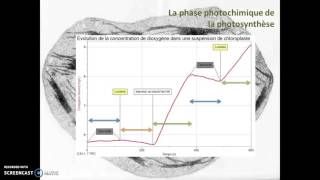 La phase photochimique de la photosynthèse [upl. by Eah]