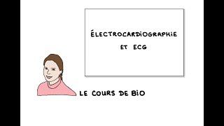 Électrocardiographie et ECG [upl. by Josephina]