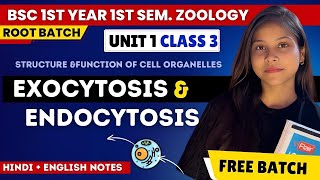 Exocytosis amp Endocytosis BSc 1st year 1st semester unit 1 in Hindi amp English🔥💯 [upl. by Maximilien]