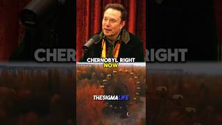 Elon Musk on Why You Can Tour Chernobyl Now [upl. by Packer]