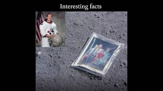 amazing facts 🌌🚀  Mind blowing facts 🤯😱 shorts facts [upl. by Temhem]