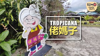 最正美食Tropicana Best Foodie Haunts [upl. by Skillern116]