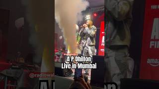 Brown Munde LIVE A P Dhillon  AP Dhillon all songs  AP DHILLON LIVE CONCERT India 2023 [upl. by Cyrus]