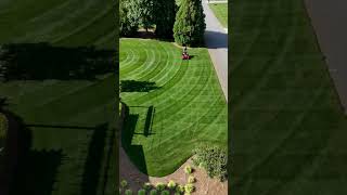 Tall Fescue Single Double Crop Circles lawnstripes gciturf [upl. by Irrot]