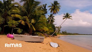 Bad Bunny  El Apagón 360° Visualizer  Un Verano Sin Ti [upl. by Nosille673]