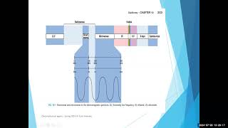 Shortwave Diathermy Lecture [upl. by Mcclelland]