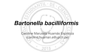 Bartonella bacilliformis [upl. by Scribner]