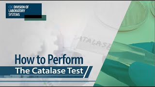 How to Perform The Catalase Test [upl. by Oigroig]