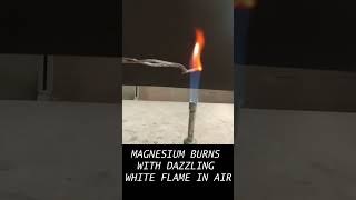 BURNING OF MAGNESIUM IN AIR  DAZZLING WHITE FLAME  BASE FORMATION  CHEMISTRY [upl. by Euqinobe563]