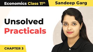 Class 11 Microeconomics Chapter 3  Unsolved Practicals  Demand [upl. by Erodisi]