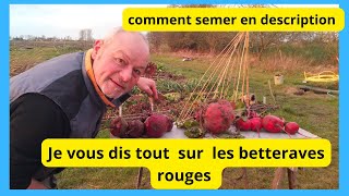 LIVE DE F1RCX Réussir vos betteraves rouges au jardin [upl. by Sheelagh]