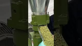 Flat die pellet mill machine with grass corn [upl. by Carbone]