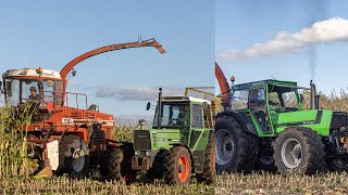 Hesston 7720 Harvester  Deutz DX 160  Old Skool harvest  de Vries Marum [upl. by Diva]